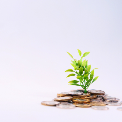 Growth from investment image, (Canva).