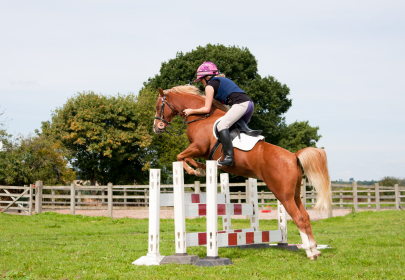 Proud Pony Club Area 18 Championships Sponsors